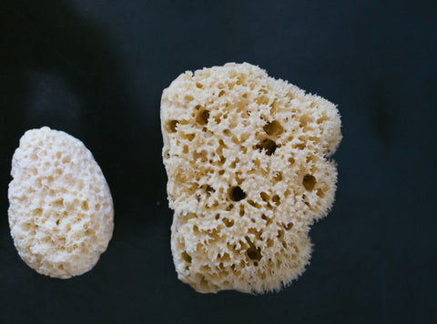 Les éponges menstruelles : une option ancienne et écologique pour toi !