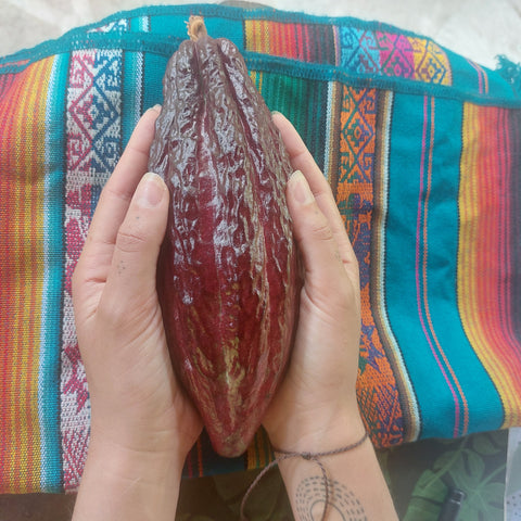 Atelier de groupe : Cérémonie de Cacao & Astrologie - Connecte-toi à ton Essence Féminine