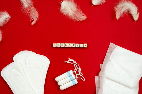 Les hormones et le cycle menstruel : quel impact sur le corps ?