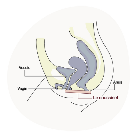 Culotte fuite urinaire, incontinence