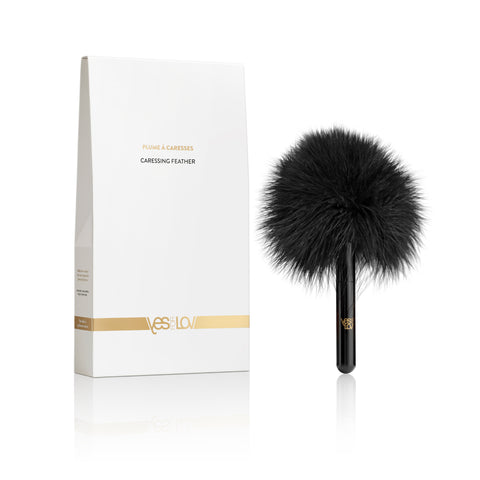 Coffret plume à carresses